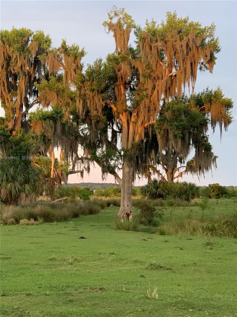 700 Wrights Lane, Lake Wales, FL 33898 Photo