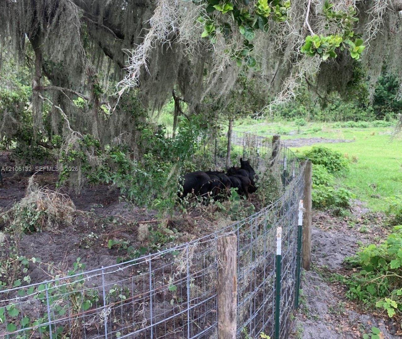 700 Wrights Lane, Lake Wales, FL 33898 Photo
