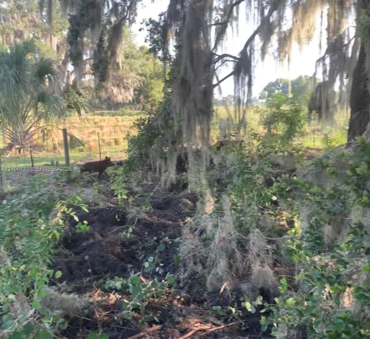 700 Wrights Lane, Lake Wales, FL 33898 Photo