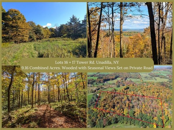 Lot 16 + 17 Tower Road , Unadilla, NY 13849