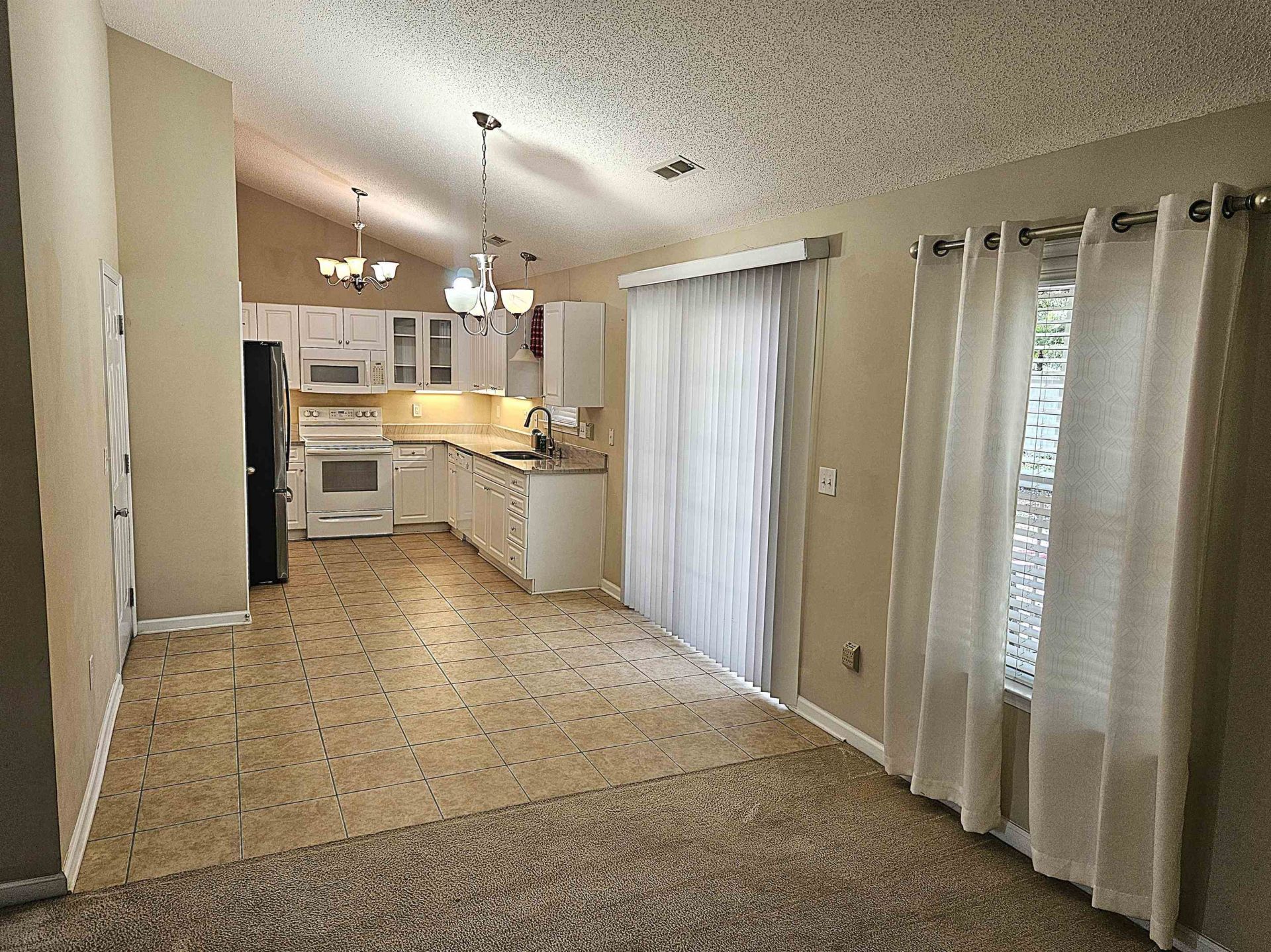 350 Southern Branch Dr. Photo 4