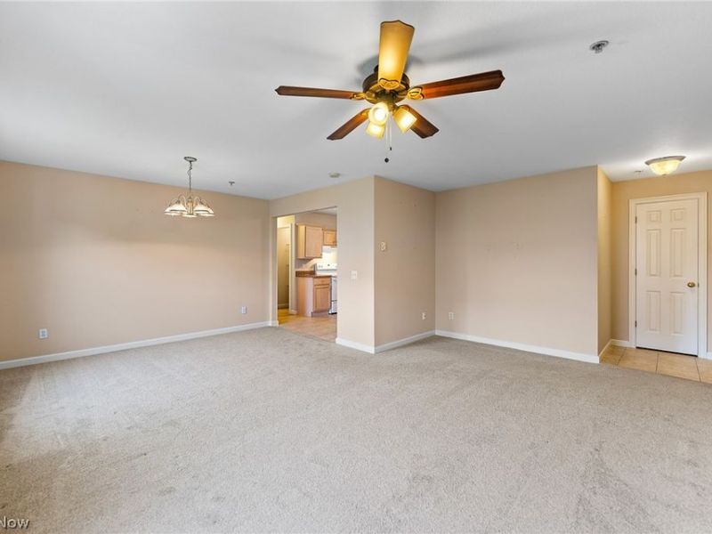 3649 Indian Run Drive, Canfield, OH 44406 Photo 5