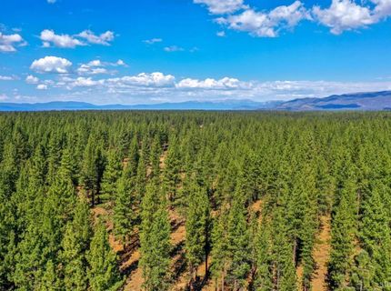 1142 Lone Indian Trail, South Lake Tahoe, CA 96150 Photo