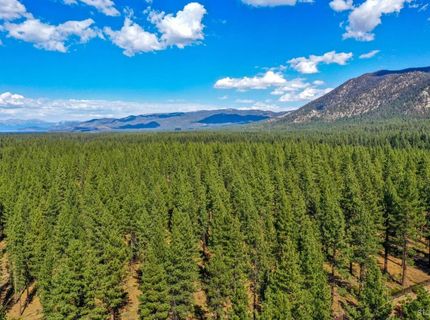 1142 Lone Indian Trail, South Lake Tahoe, CA 96150 Photo