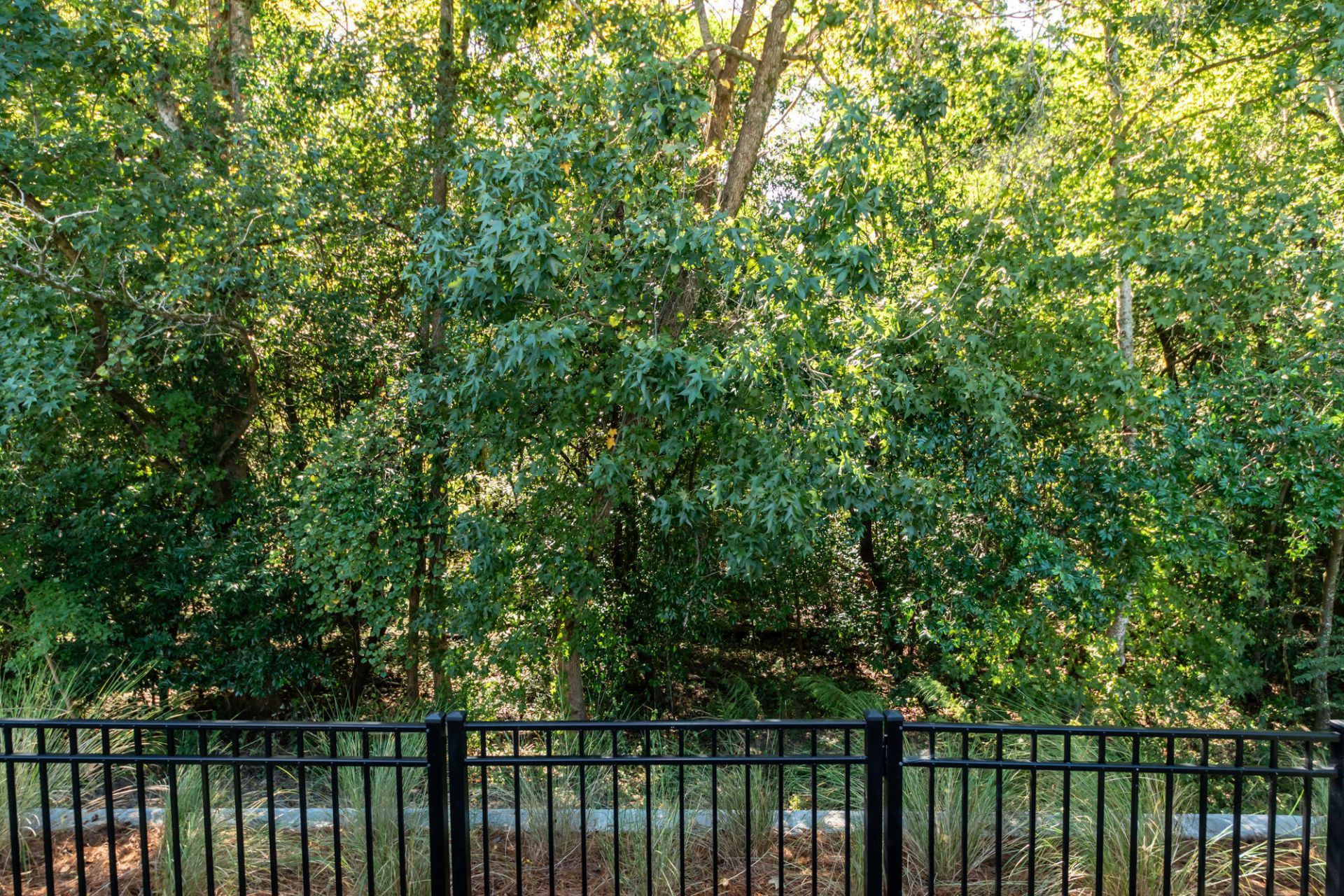 218 River Martin Court Photo 48