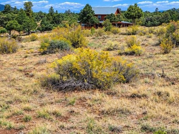 463 Wildhorse Trail, South Fork, CO 81154
