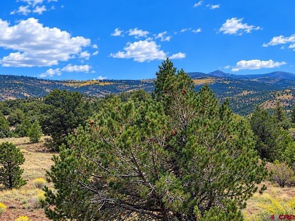 398 Wild Horse Trail, South Fork, CO 81154