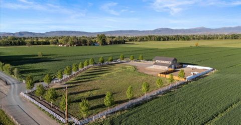 1321 Wilhelm Place, Gardnerville, NV 89460 Photo
