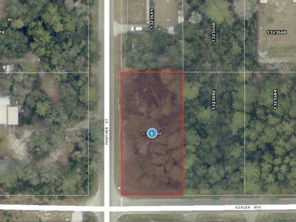 AZALEA AVENUE , PAISLEY, FL 32767
