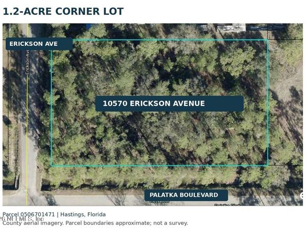 10570 ERICKSON Avenue, Hastings, FL 32145