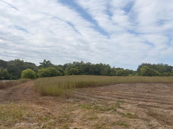 TBD (L1-SM East) 269th Avenue NW, Isanti, MN 55040
