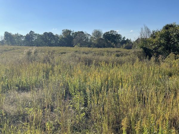 0 Oakmere Ln , Unit 4, Lafayette, TN 37083