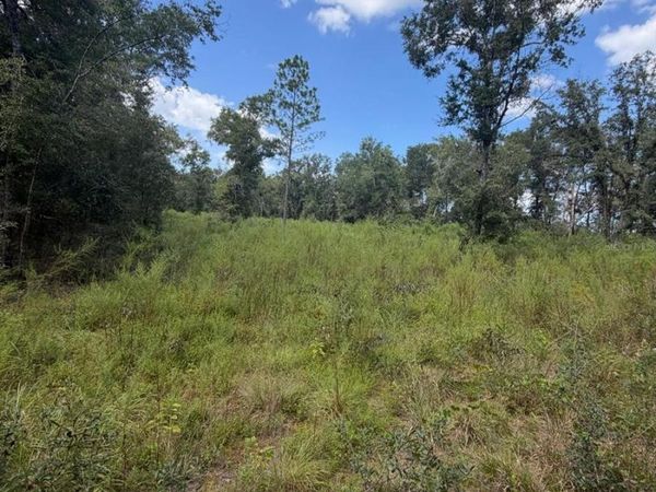 FOXWOOD , FORT WHITE, FL 32038