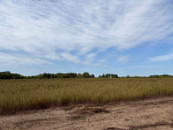 TBD (L3-SM East) Yellowpine Court NW, Isanti, MN 55040