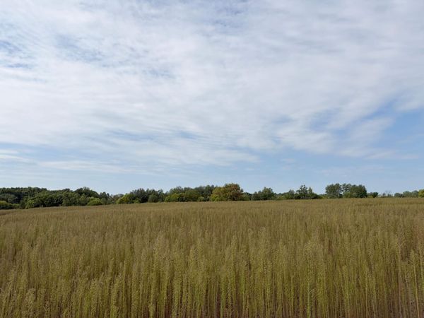 TBD (L4-SM East) Yellowpine Court NW, Isanti, MN 55040