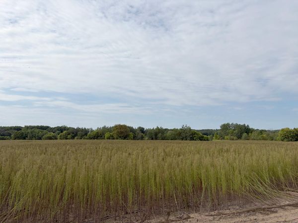 TBD (L5-SM East) Yellowpine Court NW, Isanti, MN 55040