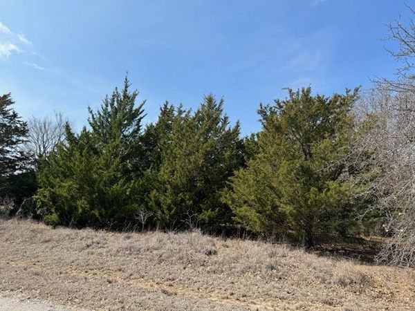 Bonnell Road, Burneyville, OK 73430