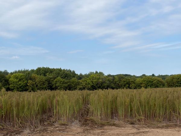 TBD (L6-SM East) Yellowpine Court NW, Isanti, MN 55040