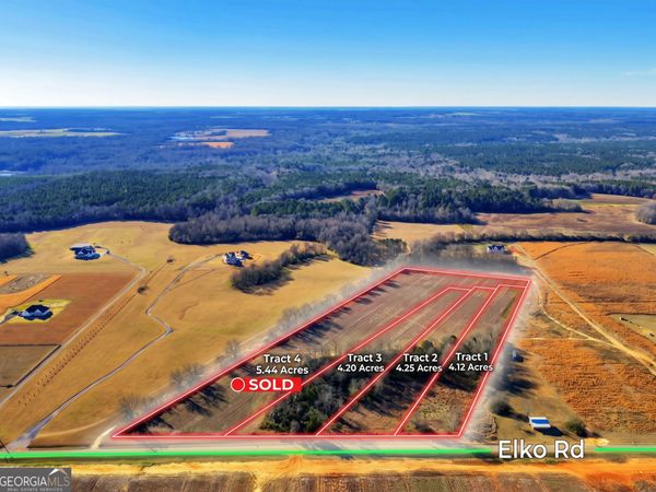 TRACT 2 Elko Road, Elko, GA 31025