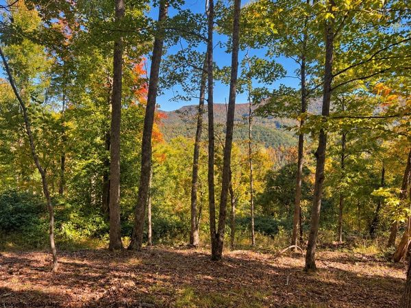 TBD Beckys Creek Road, Huttonsville, WV 26273