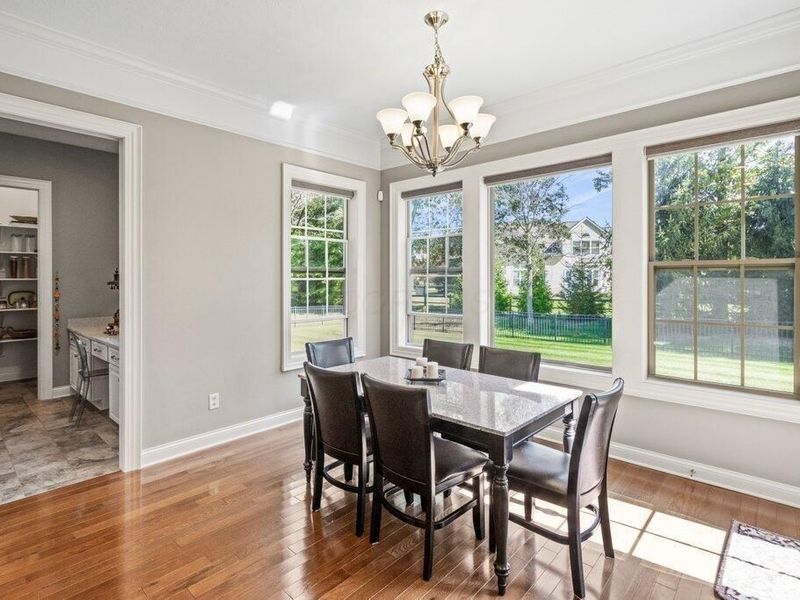 9031 Shaffer Drive, Powell, OH 43065 Photo 14