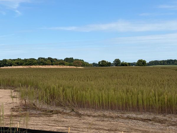 TBD (L10-SM East) Yellowpine Court NW, Isanti, MN 55040