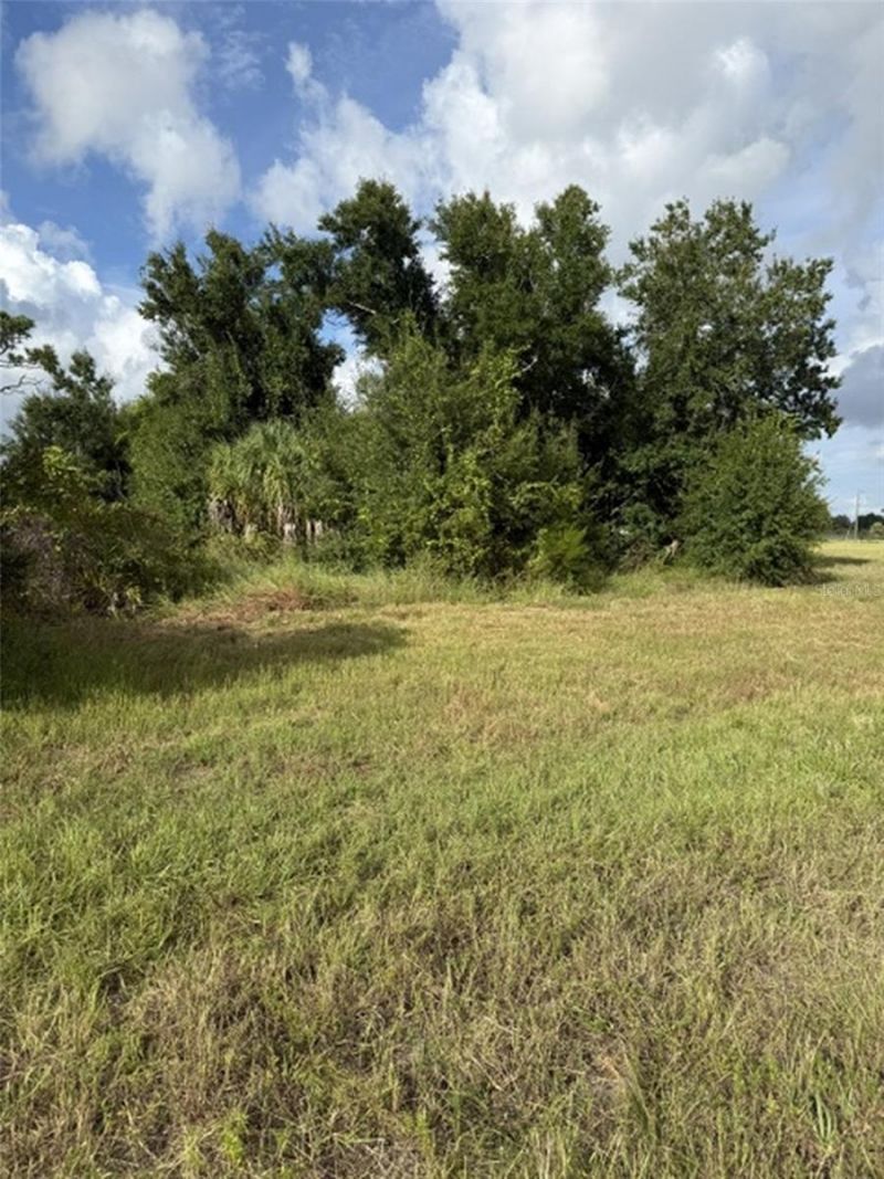 12390 Blue Marlin Road, Placida, FL 33946 Photo