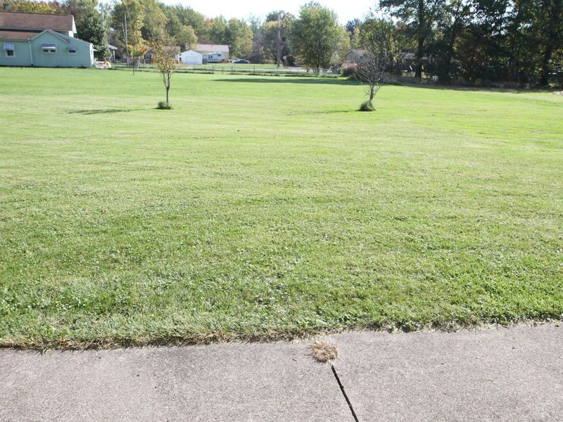 701 Larwill Street, Crestline, OH 44827 Photo 18