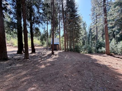 35655 Culberson Rd, Alta, CA 95701 Photo