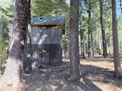 35655 Culberson Rd, Alta, CA 95701 Photo