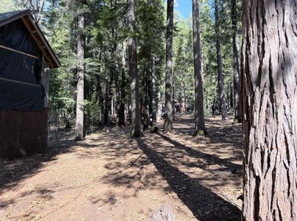 35655 Culberson Rd, Alta, CA 95701 Photo