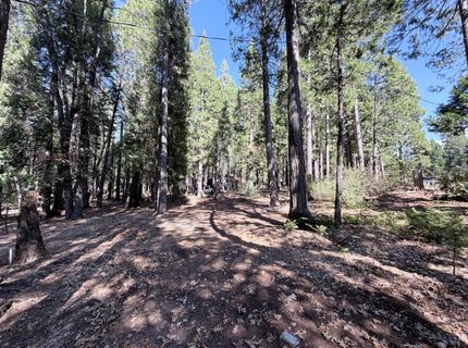 35655 Culberson Rd, Alta, CA 95701 Photo