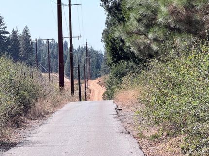 35655 Culberson Rd, Alta, CA 95701 Photo