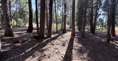 35655 Culberson Rd, Alta, CA 95701 Photo