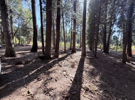 35655 Culberson Rd, Alta, CA 95701 Photo