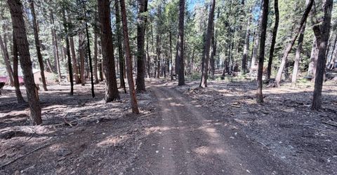 35655 Culberson Rd, Alta, CA 95701 Photo