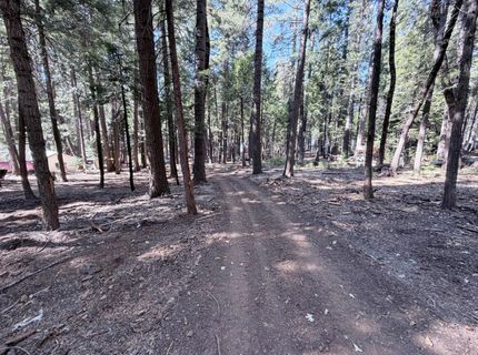 35655 Culberson Rd, Alta, CA 95701 Photo