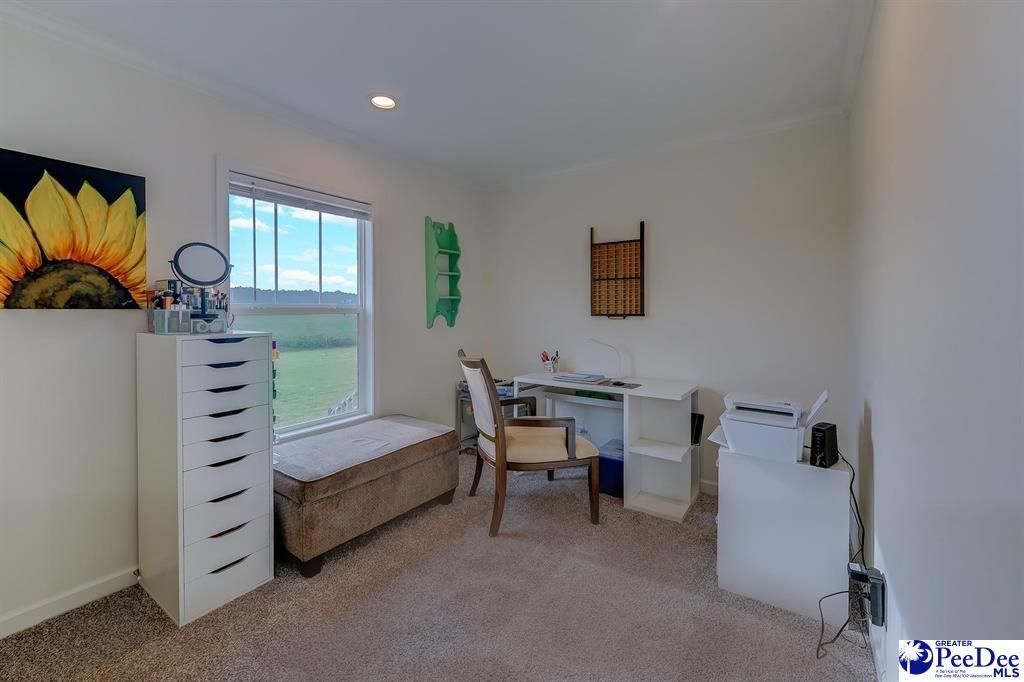 870 Highpockets Pl Photo 11