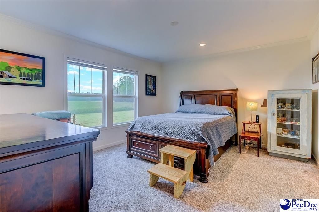 870 Highpockets Pl Photo 20