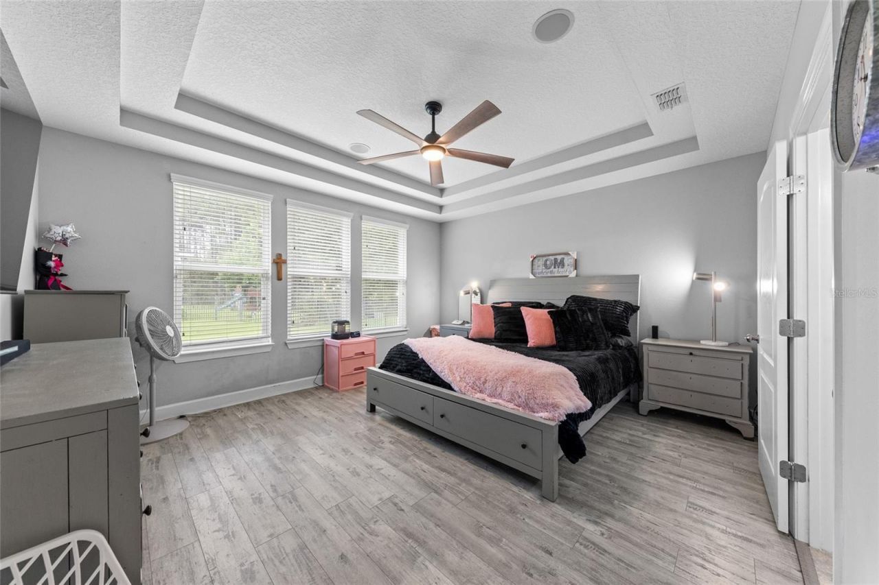4420 Castle Palm Court, Orange Park, FL 32065 Photo