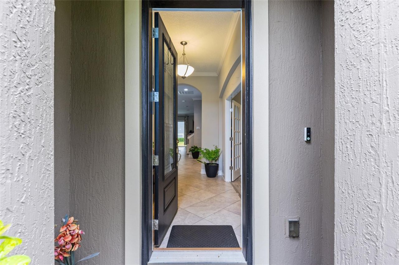 4420 Castle Palm Court, Orange Park, FL 32065 Photo