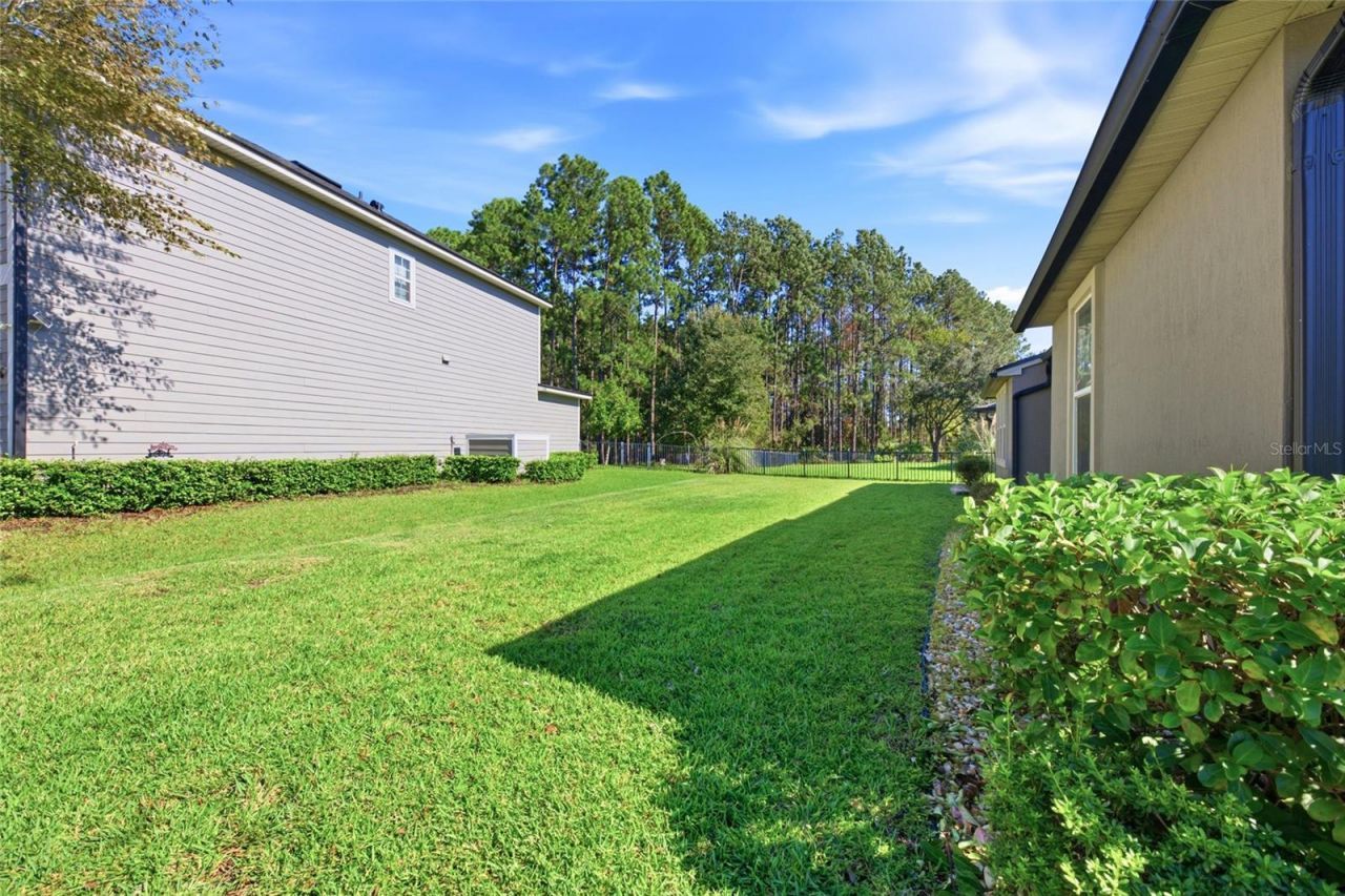4420 Castle Palm Court, Orange Park, FL 32065 Photo