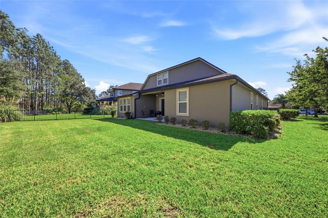 4420 Castle Palm Court, Orange Park, FL 32065 Photo