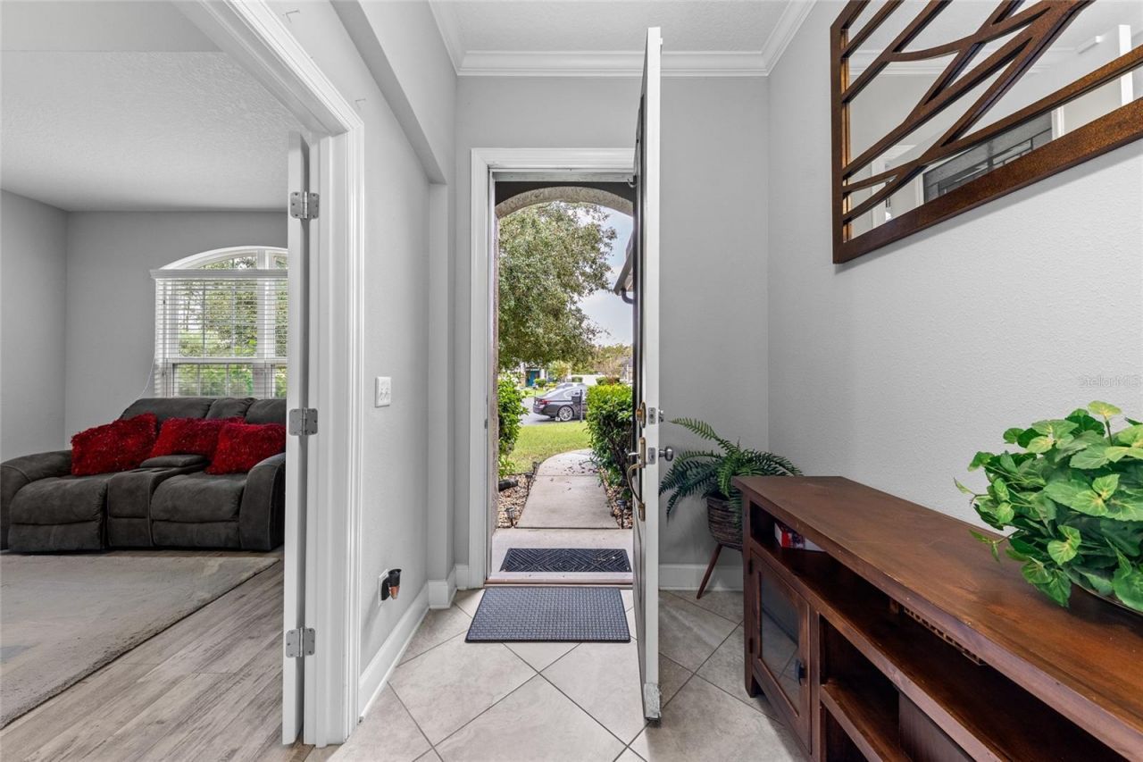 4420 Castle Palm Court, Orange Park, FL 32065 Photo