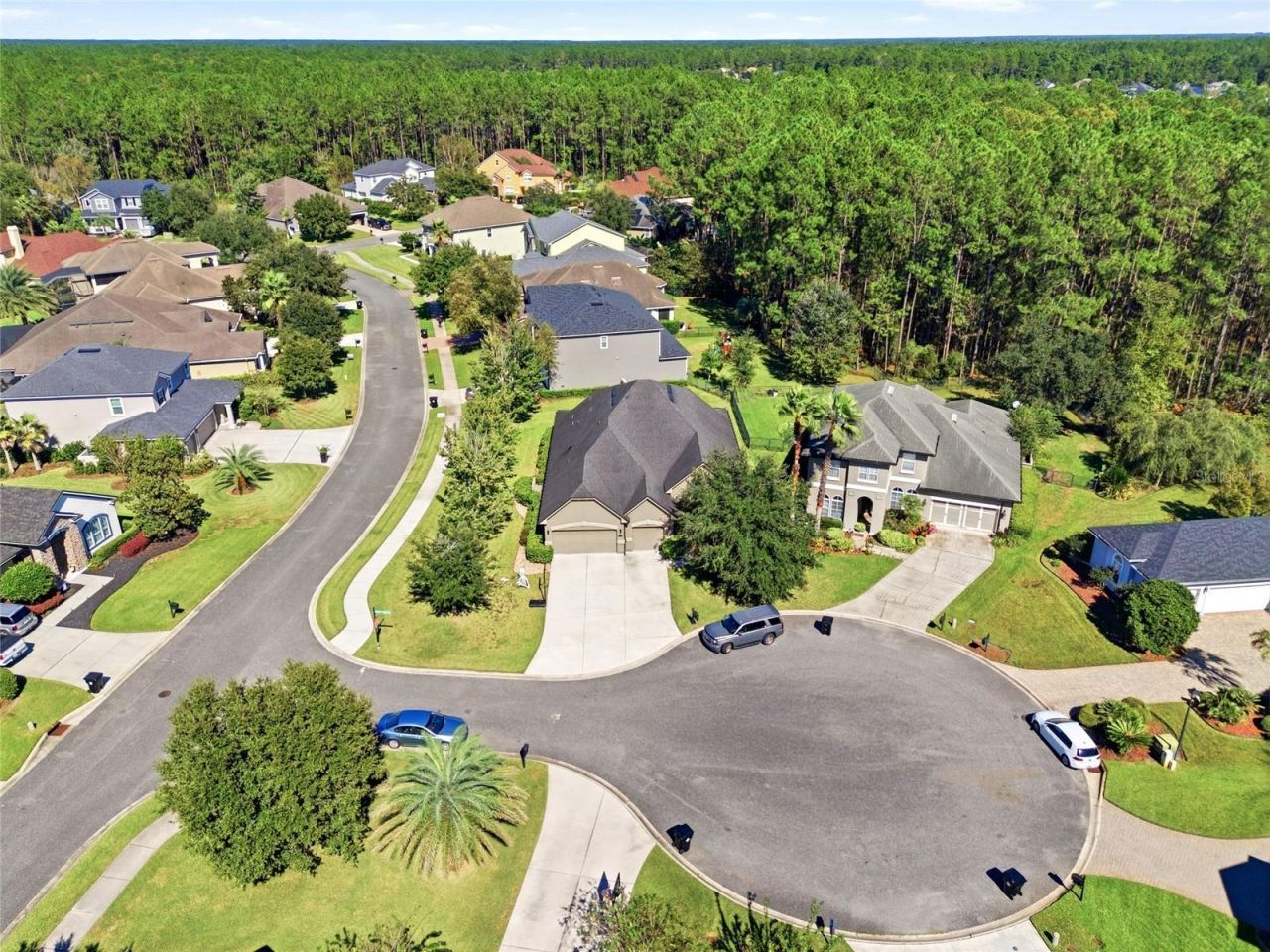 4420 Castle Palm Court, Orange Park, FL 32065 Photo