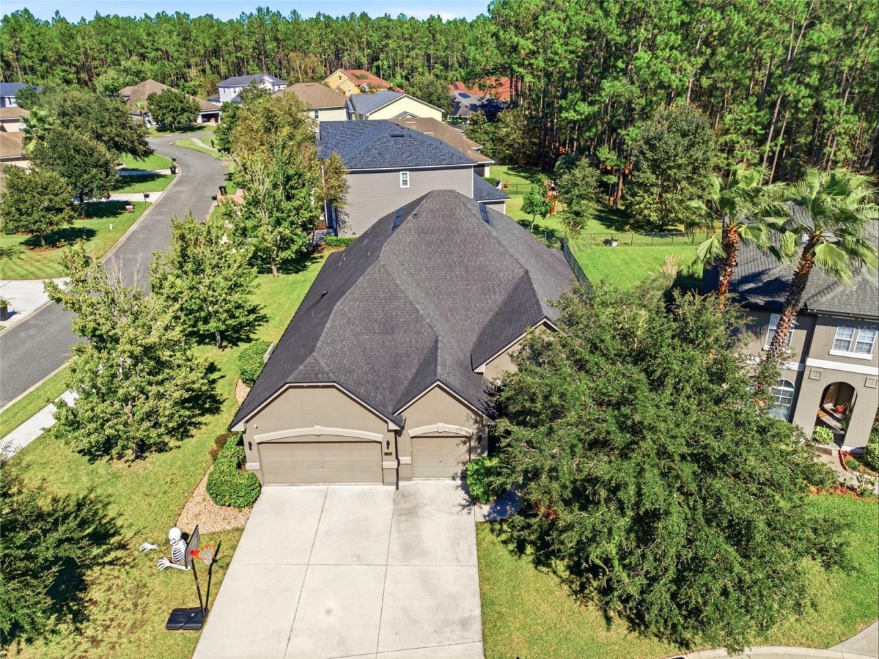 4420 Castle Palm Court, Orange Park, FL 32065 Photo