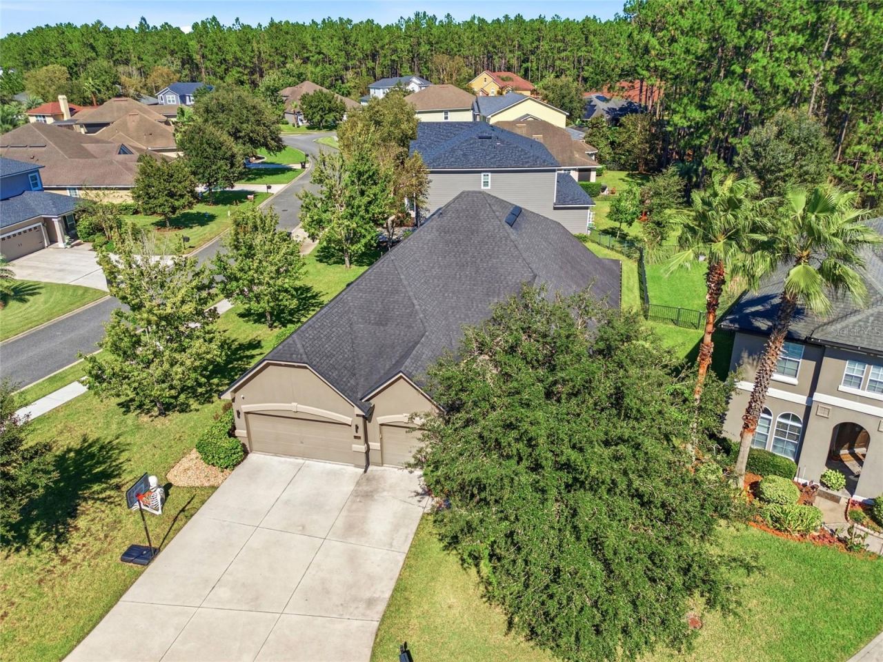 4420 Castle Palm Court, Orange Park, FL 32065 Photo