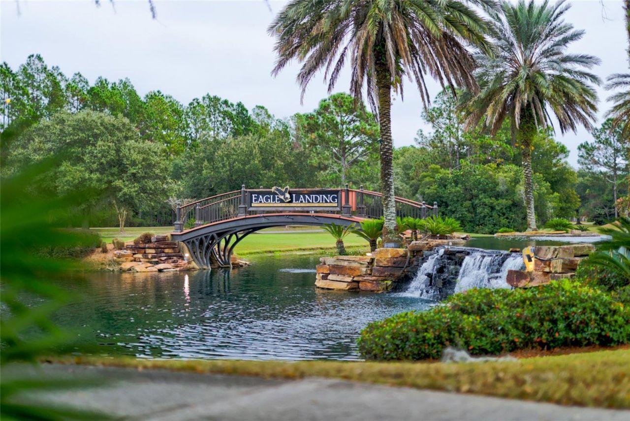 4420 Castle Palm Court, Orange Park, FL 32065 Photo