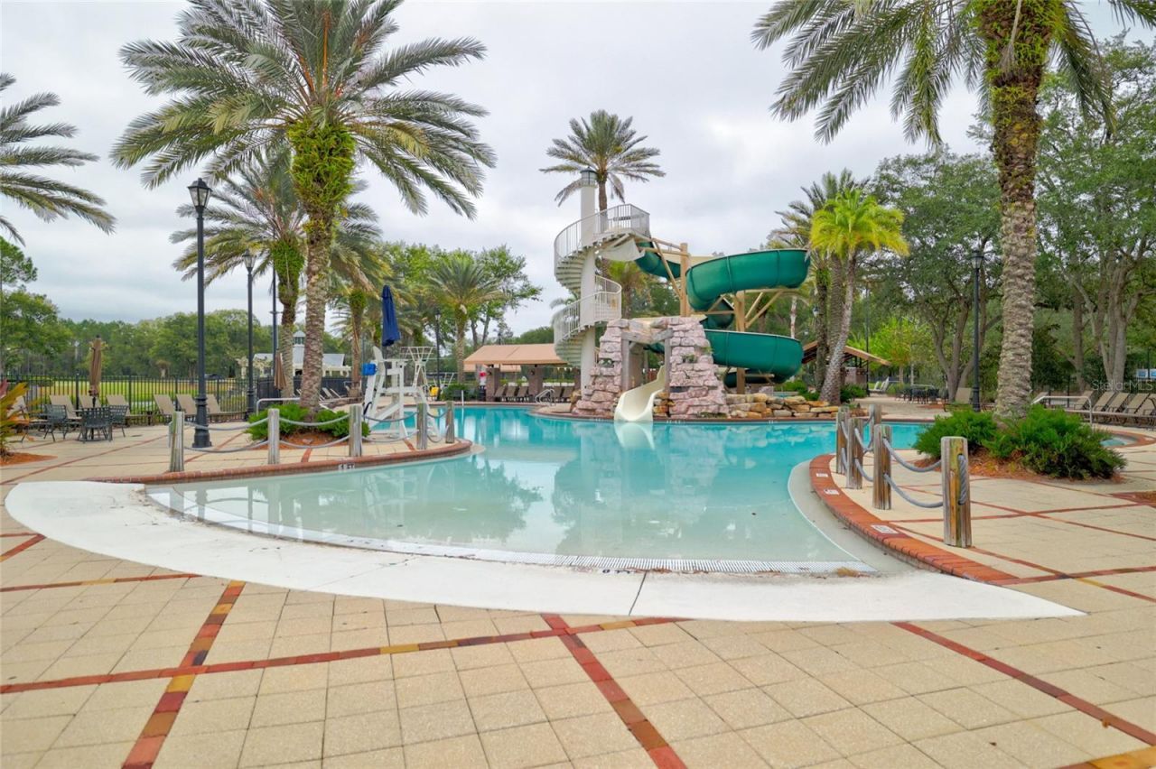 4420 Castle Palm Court, Orange Park, FL 32065 Photo