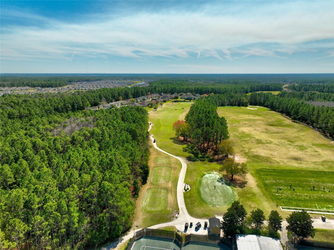 4420 Castle Palm Court, Orange Park, FL 32065 Photo